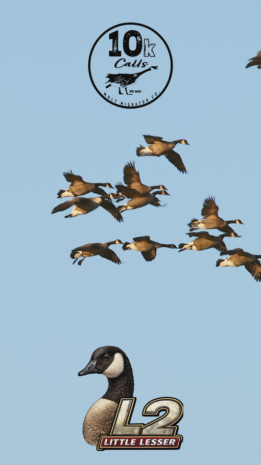 L2 Little Lesser Canada Goose Call